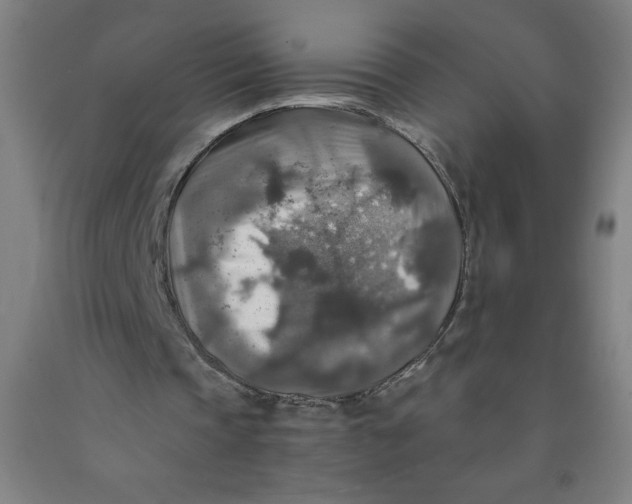 X0000091860337200709261259