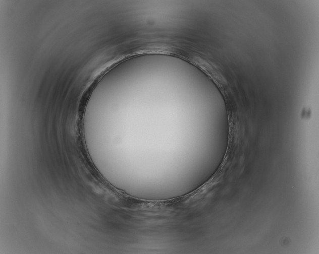 X0000091860338200709261259