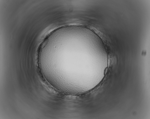 X0000091860339200709261259