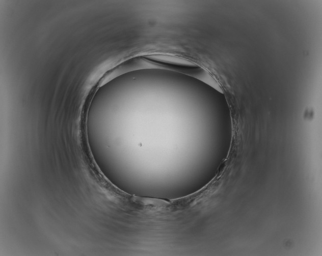 X0000091860340200709261259