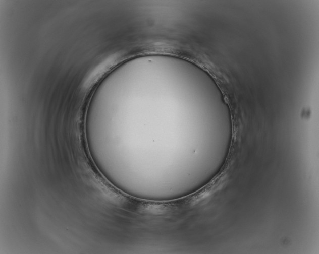 X0000091860341200709261259