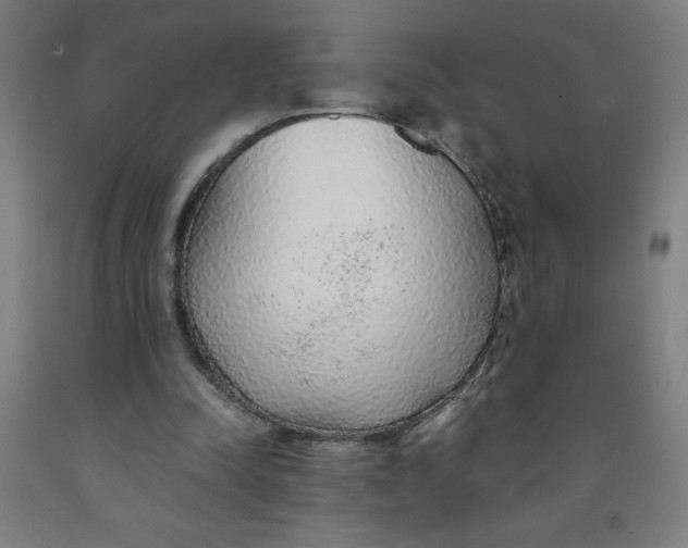 X0000091860342200709261259