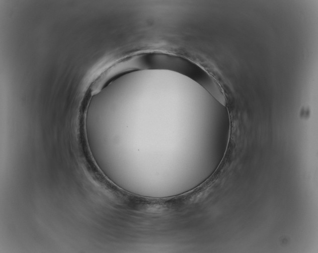 X0000091860344200709261259