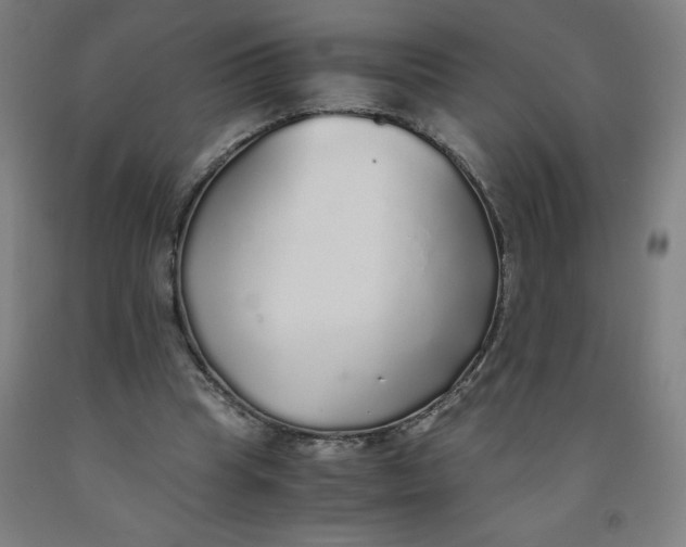 X0000091860345200709261259