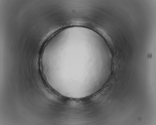 X0000091860346200709261259