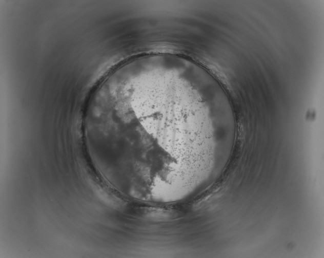 X0000091860347200709261259