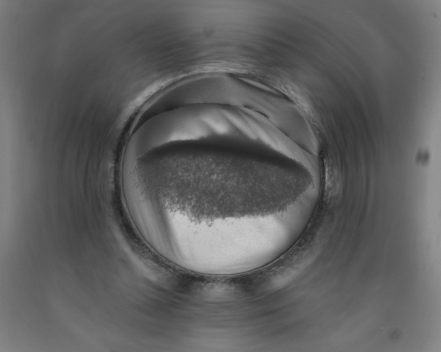 X0000091860348200709261259