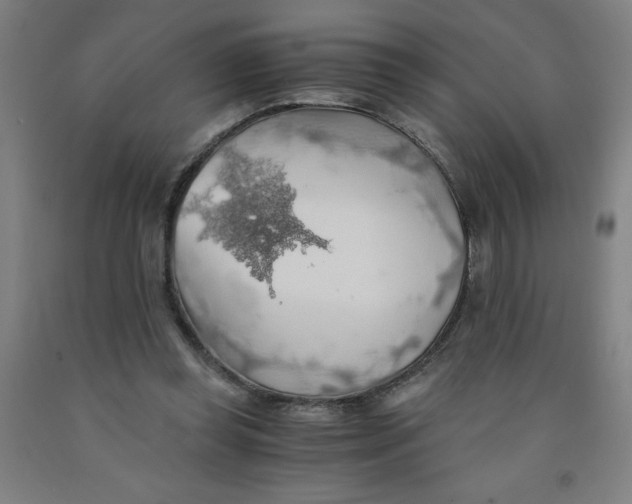 X0000091860349200709261259