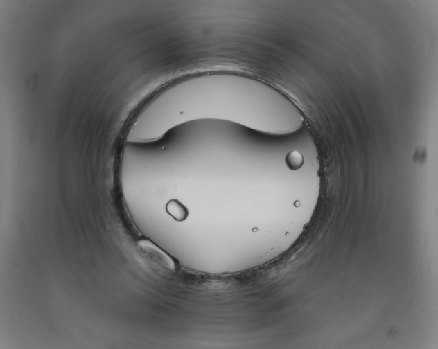 X0000091860350200709261259