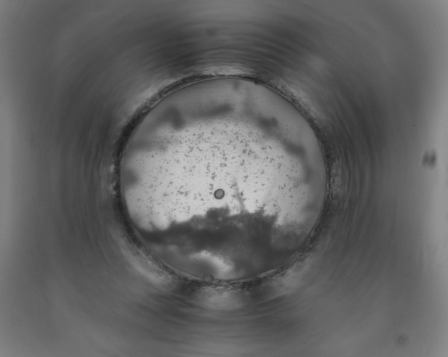 X0000091860351200709261259