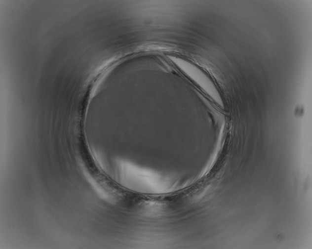 X0000091860352200709261259