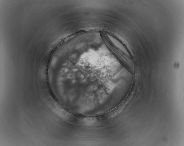 X0000091860353200709261259