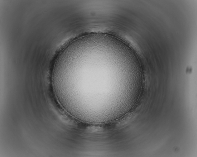 X0000091860354200709261259