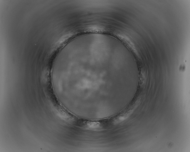 X0000091860355200709261259