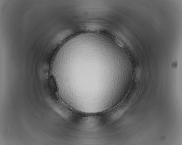 X0000091860356200709261259