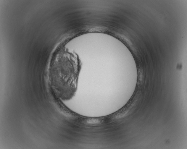 X0000091860357200709261259