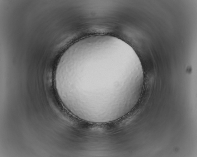 X0000091860358200709261259