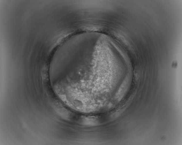 X0000091860359200709261259