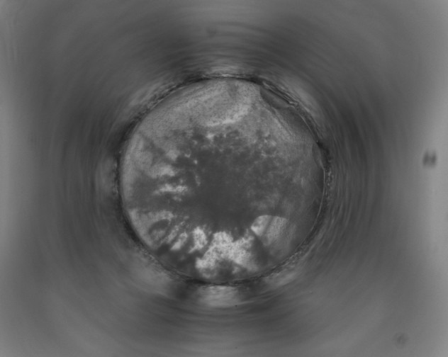 X0000091860361200709261259