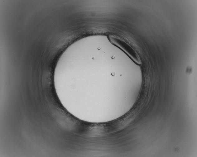 X0000091860362200709261259