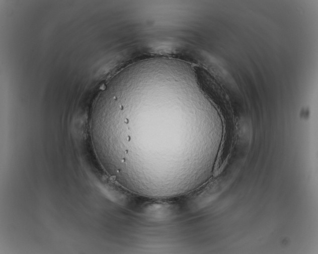 X0000091860364200709261259