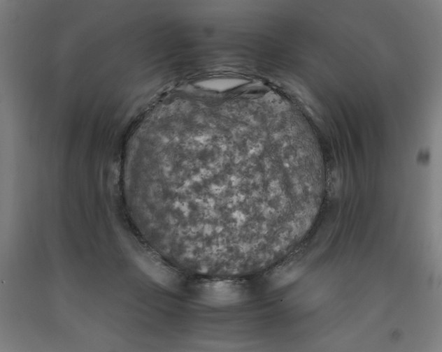 X0000091860365200709261259