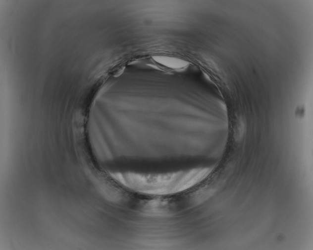 X0000091860366200709261259