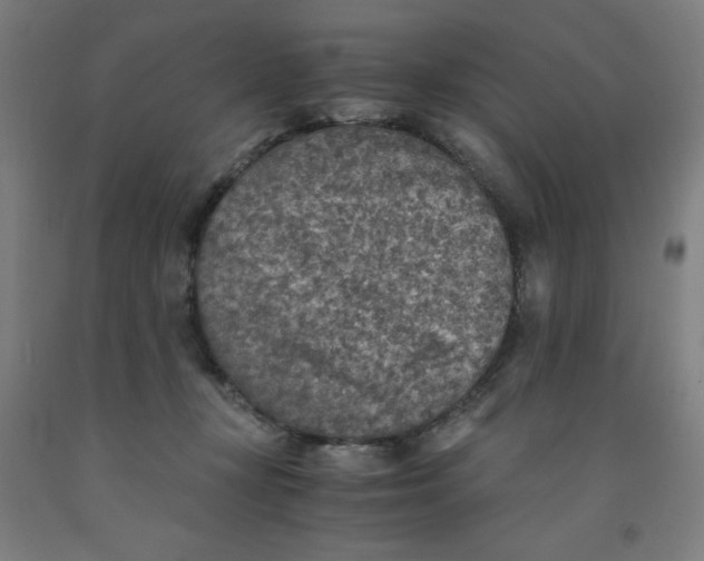 X0000091860367200709261259