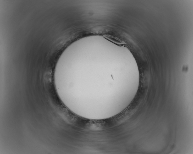 X0000091860368200709261259