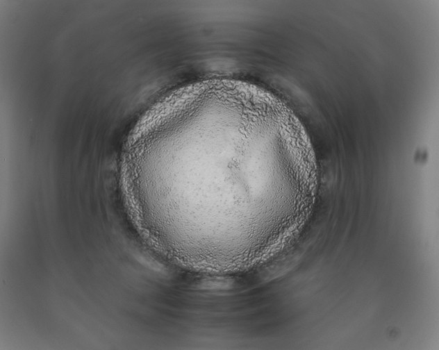 X0000091860369200709261259