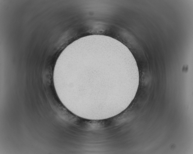 X0000091860370200709261259