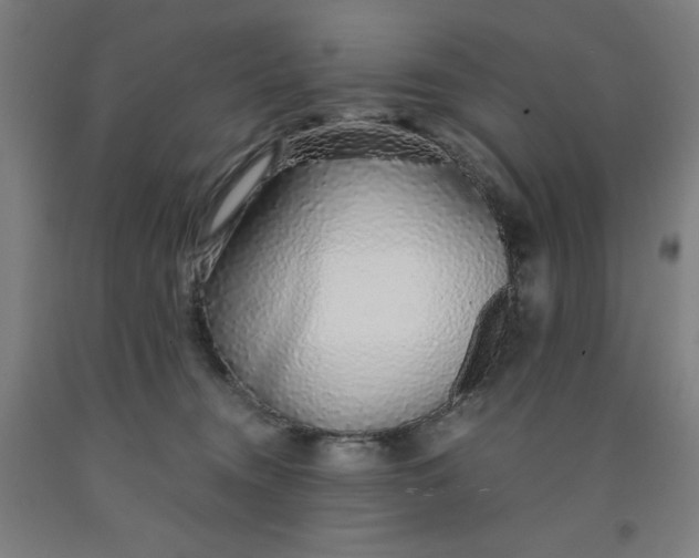 X0000091860372200709261259