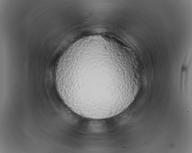 X0000091860373200709261259