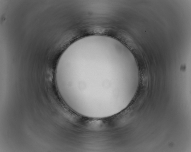 X0000091860374200709261259