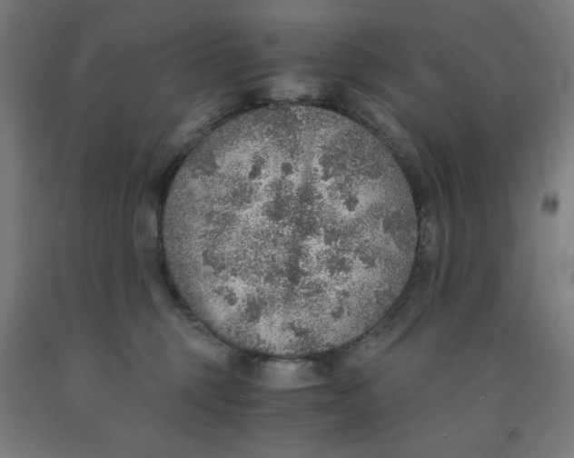 X0000091860375200709261259