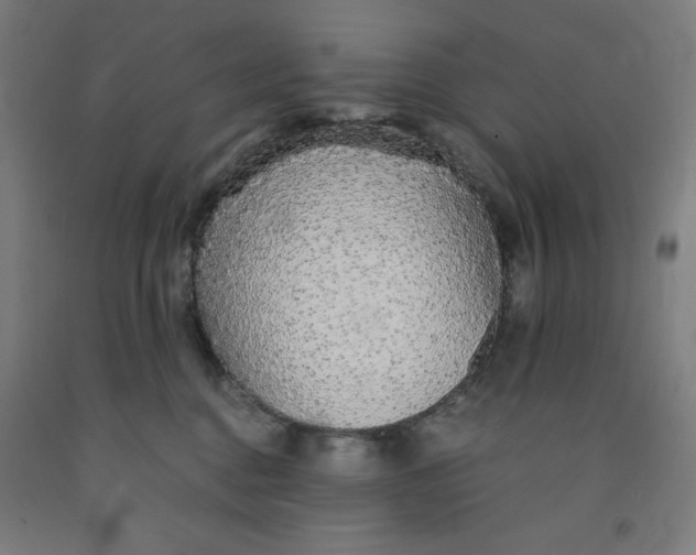 X0000091860376200709261259