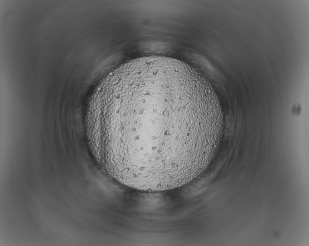 X0000091860377200709261259