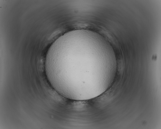 X0000091860378200709261259