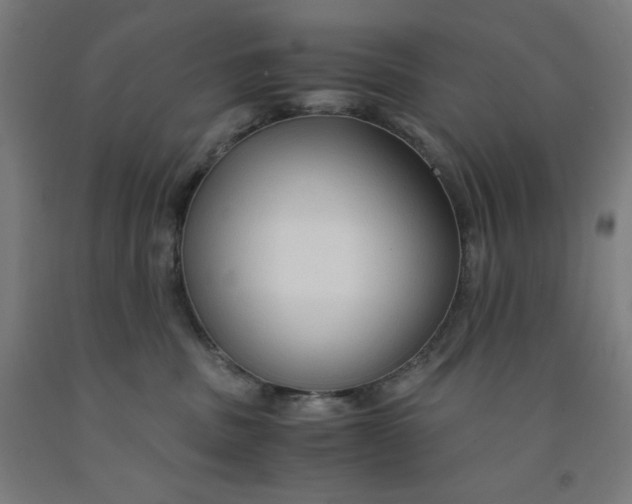 X0000091860379200709261259