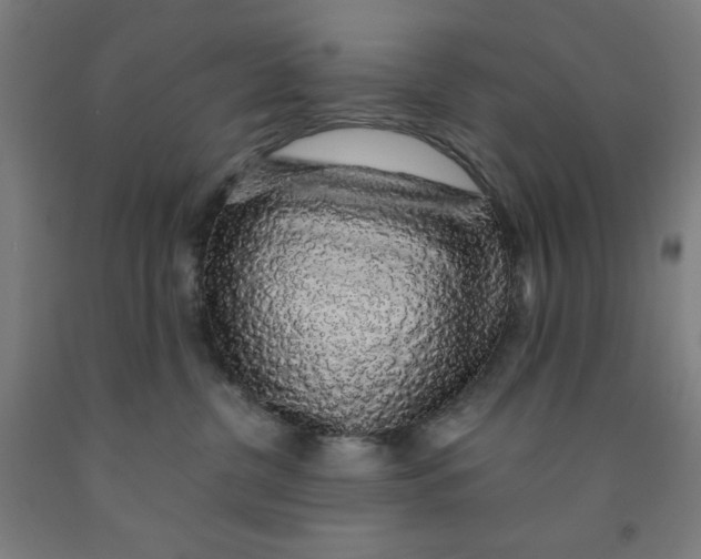 X0000091860380200709261300