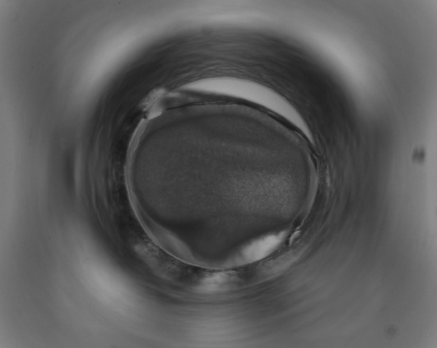 X0000091860382200709261300