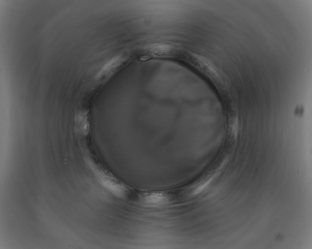 X0000091860383200709261300