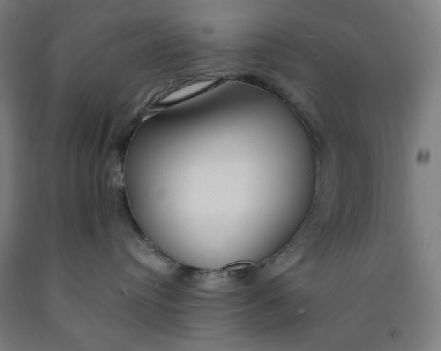 X0000091860384200709261300