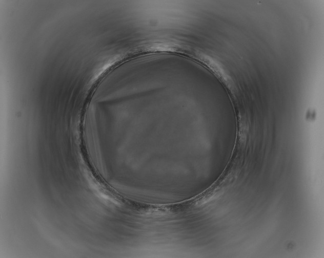 X0000091860386200709261259