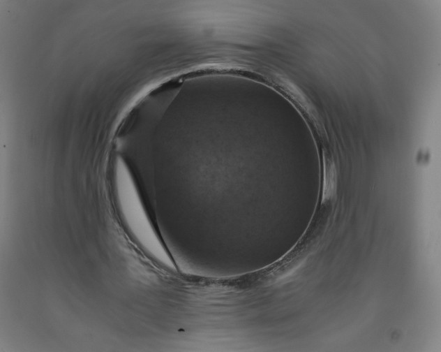 X0000091860387200709261259