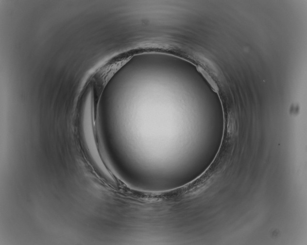 X0000091860388200709261259