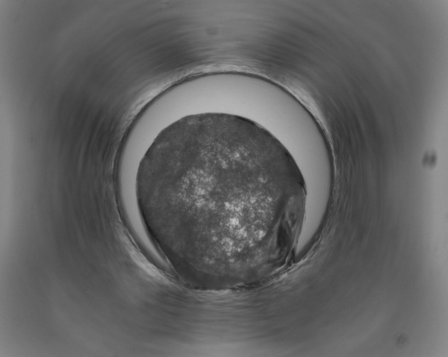 X0000091860389200709261259