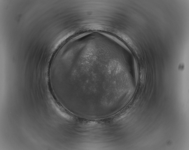 X0000091860390200709261259