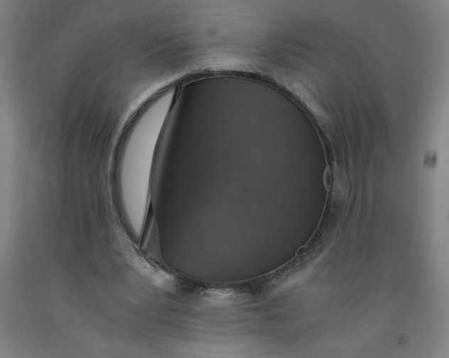 X0000091860391200709261259