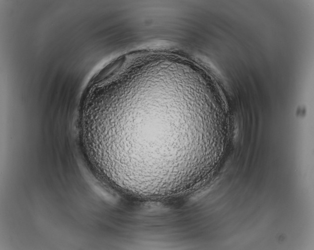 X0000091860392200709261259